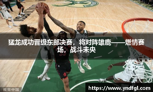 leyu乐鱼体育