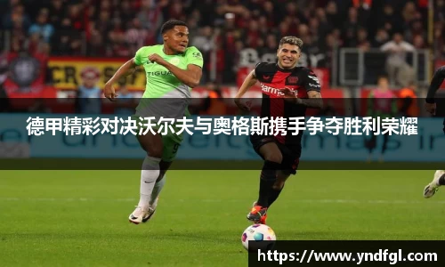 德甲精彩对决沃尔夫与奥格斯携手争夺胜利荣耀
