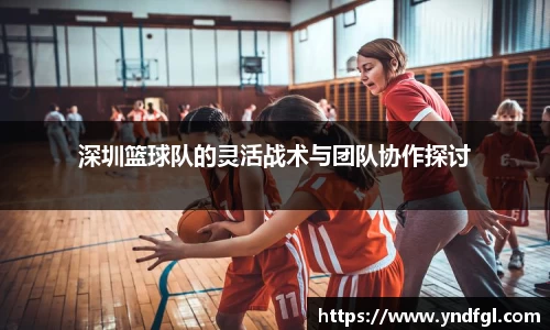 深圳篮球队的灵活战术与团队协作探讨